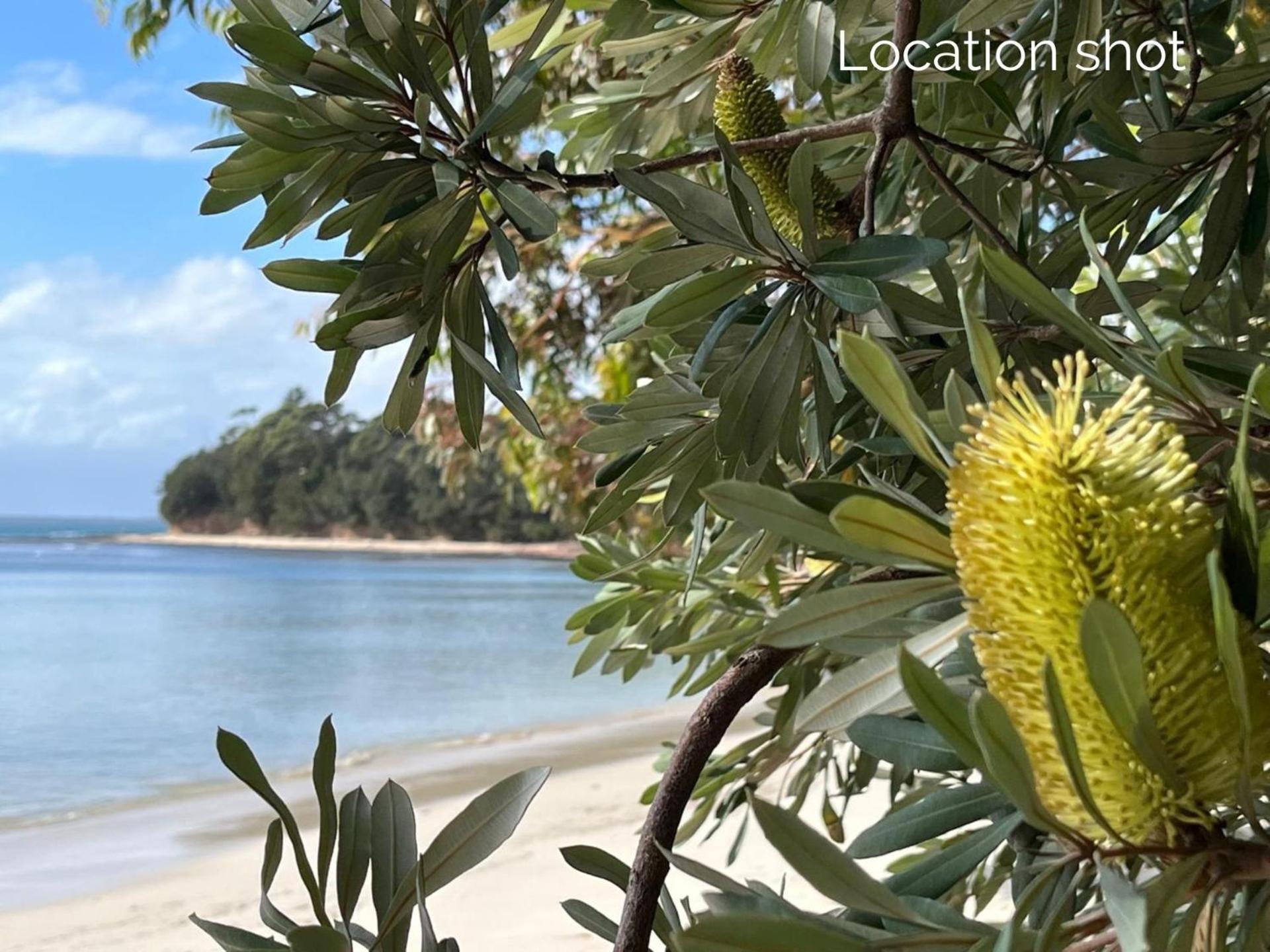 דירות וינסנטיה Banksia On Blenheim By Experience Jervis Bay מראה חיצוני תמונה